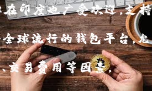 在印度，有几款较受欢迎的比特币钱包，以下是一些常见的比特币钱包名称：

1. **WazirX Wallet**: 这是印度最大的加密货币交易所之一，提供存储和交易比特币及其他加密货币的功能。

2. **CoinDCX Wallet**: CoinDCX是印度另一大受欢迎的交易平台，支持多种加密货币的钱包服务。

3. **ZebPay Wallet**: ZebPay是印度较早的加密货币交易所之一，提供安全的钱包服务。

4. **Koinex Wallet**: Koinex提供用户友好的界面，支持多种加密货币。

5. **Trust Wallet**: 尽管是国际钱包，但在印度也广受欢迎，支持多种加密货币存储和交易。

6. **Blockchain.com Wallet**: 这是一个全球流行的钱包平台，允许用户存储比特币及其他加密货币。

用户在选择钱包时，应考虑安全性、用户体验、交易费用等因素。