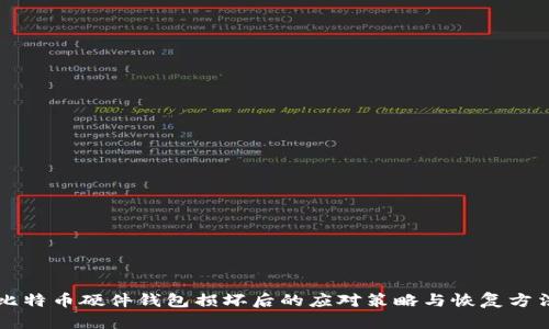 比特币硬件钱包损坏后的应对策略与恢复方法
