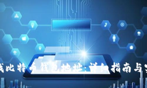 如何查找比特币钱包地址：详细指南与实用技巧