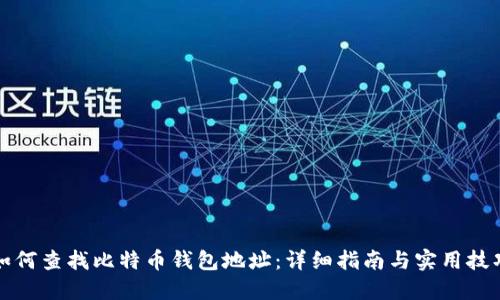如何查找比特币钱包地址：详细指南与实用技巧