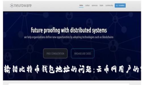 如何解决输错比特币钱包地址的问题：云币网用户的实用指南