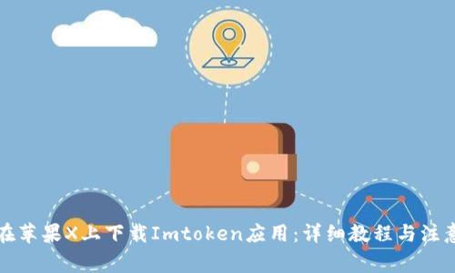 如何在苹果X上下载Imtoken应用：详细教程与注意事项