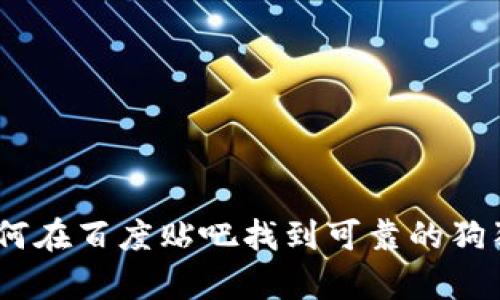 全面解析：如何在百度贴吧找到可靠的狗狗币钱包信息