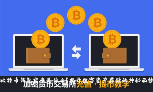 比特币钱包究竟是什么？揭开数字资产存储的神秘面纱