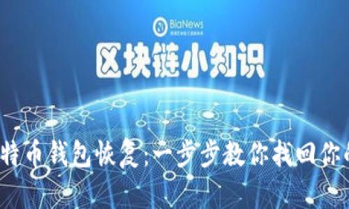 2015年比特币钱包恢复：一步步教你找回你的加密资产