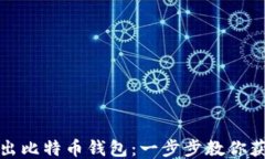 如何安全高效导出比特币