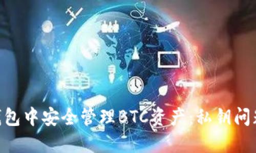 如何在imToken钱包中安全管理BTC资产：私钥问题解答与实用技巧