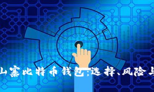 揭秘山寨比特币钱包：选择、风险与建议
