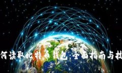 如何读取比特币钱包：全