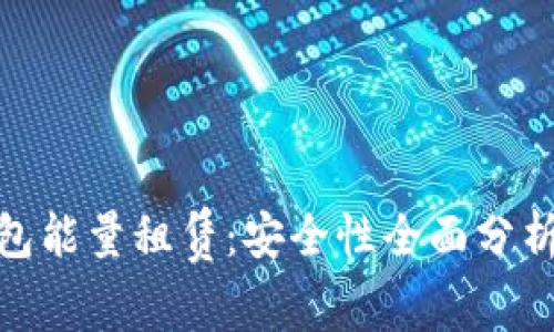 imToken钱包能量租赁：安全性全面分析与实用指南