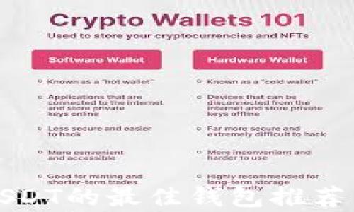 
安全存储USDT的最佳钱包推荐与使用指南