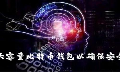 如何选择大容量比特币钱包以确保安全与便利性