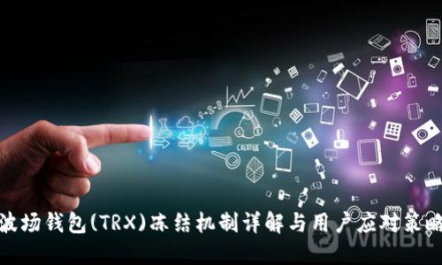 波场钱包(TRX)冻结机制详解与用户应对策略