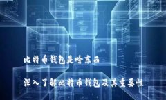 比特币钱包是啥东西深入