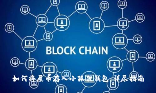 如何将屎币存入小狐狸钱包：详尽指南