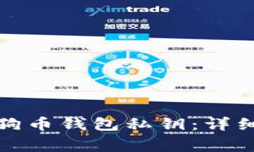 如何安全提取狗狗币钱包私钥：详细指南与注意事项