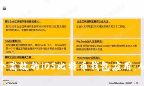 如何开发一个高效的iOS比特币钱包应用:从构思到实现