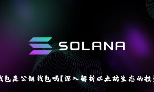 以太坊钱包是公链钱包吗？深入解析以太坊生态的投资与安全