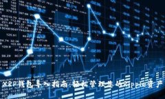 XRP钱包导入指南：轻松管