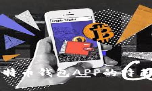 全面解析比特币钱包APP的特色与使用指南