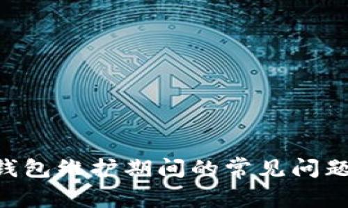 : imToken钱包维护期间的常见问题与解决方案