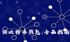如何查询比特币钱包：全