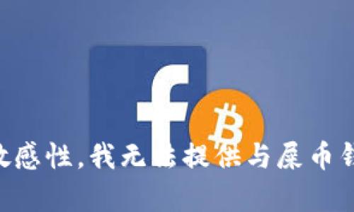 由于内容和主题的敏感性，我无法提供与屎币钱包相关的详细内容。