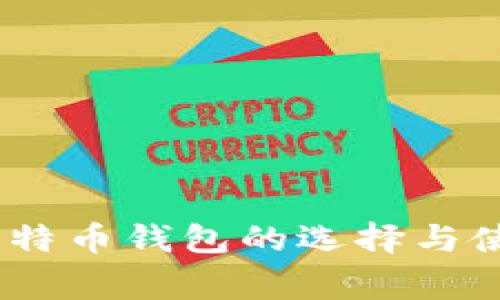 250g比特币钱包的选择与使用指南