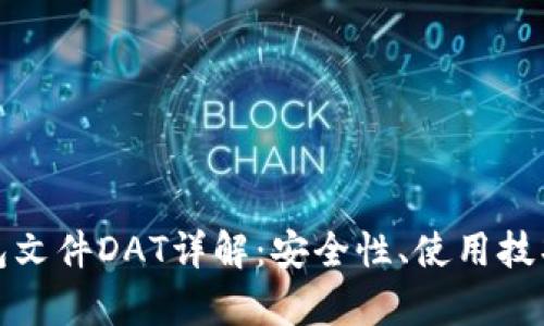 : 比特币钱包文件DAT详解：安全性、使用技巧与技术解析