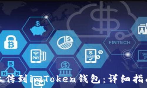   
如何将新币上传到imToken钱包：详细指南与实用技巧