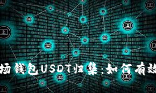 深度解析波场钱包USDT归集：如何有效管理和操作