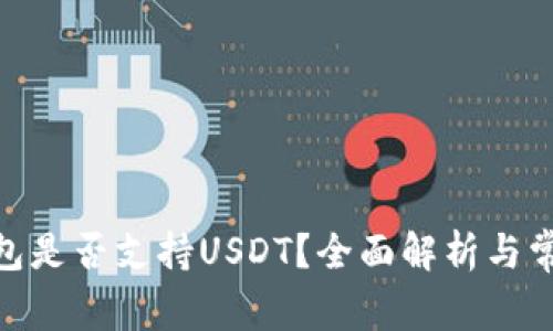 imToken钱包是否支持USDT？全面解析与常见问题解答