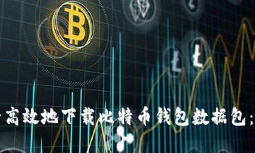 如何安全高效地下载比特币钱包数据包：完整指南