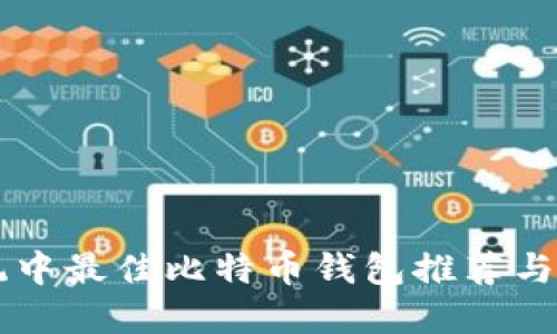 苹果系统中最佳比特币钱包推荐与使用指南