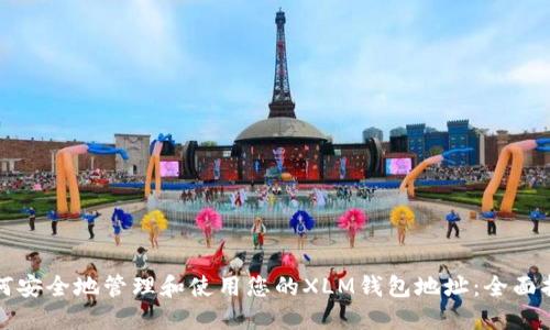 如何安全地管理和使用您的XLM钱包地址：全面指南