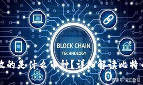 比特币钱包存放的是什么币种？详细解读比特币及其钱包功能